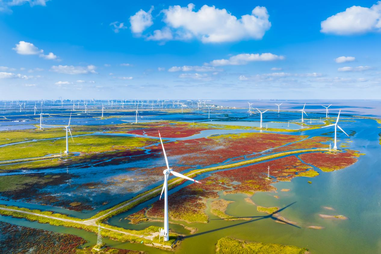 鹽城濱海濕地上的風力發電機組。孫華金攝